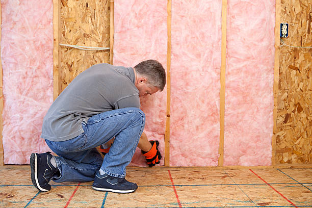 Best Geographic-Specific Insulation Services in Berkley, CO